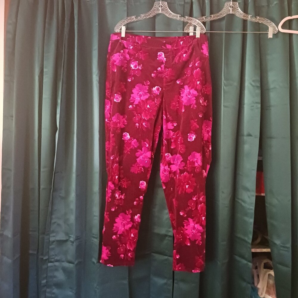Sz 22wt Isaac Mizrahi velvet pull on pants/jeans style